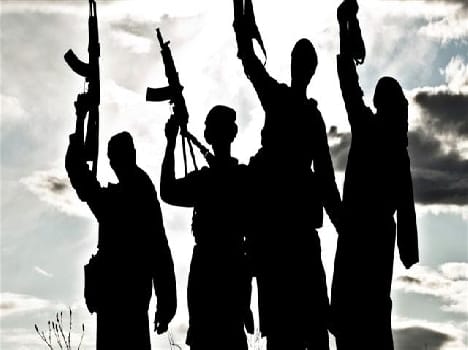 Disclose terrorist in bandipora